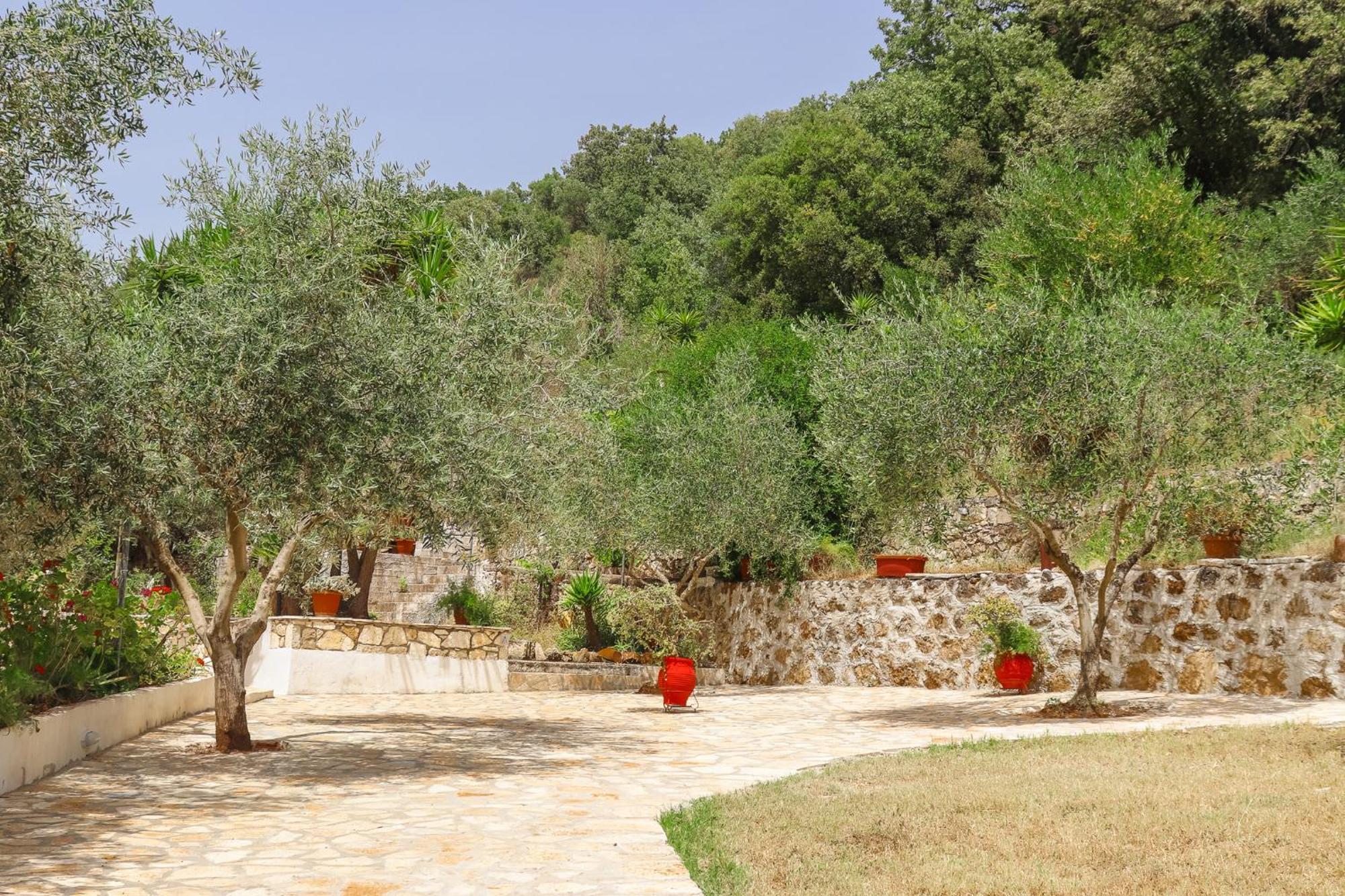 Villa Sissy Studios & Apartments Sívota 외부 사진