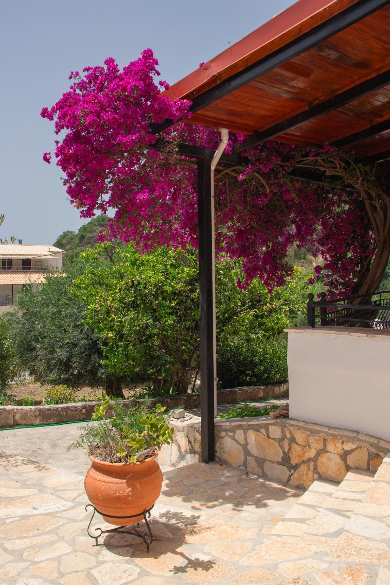 Villa Sissy Studios & Apartments Sívota 외부 사진