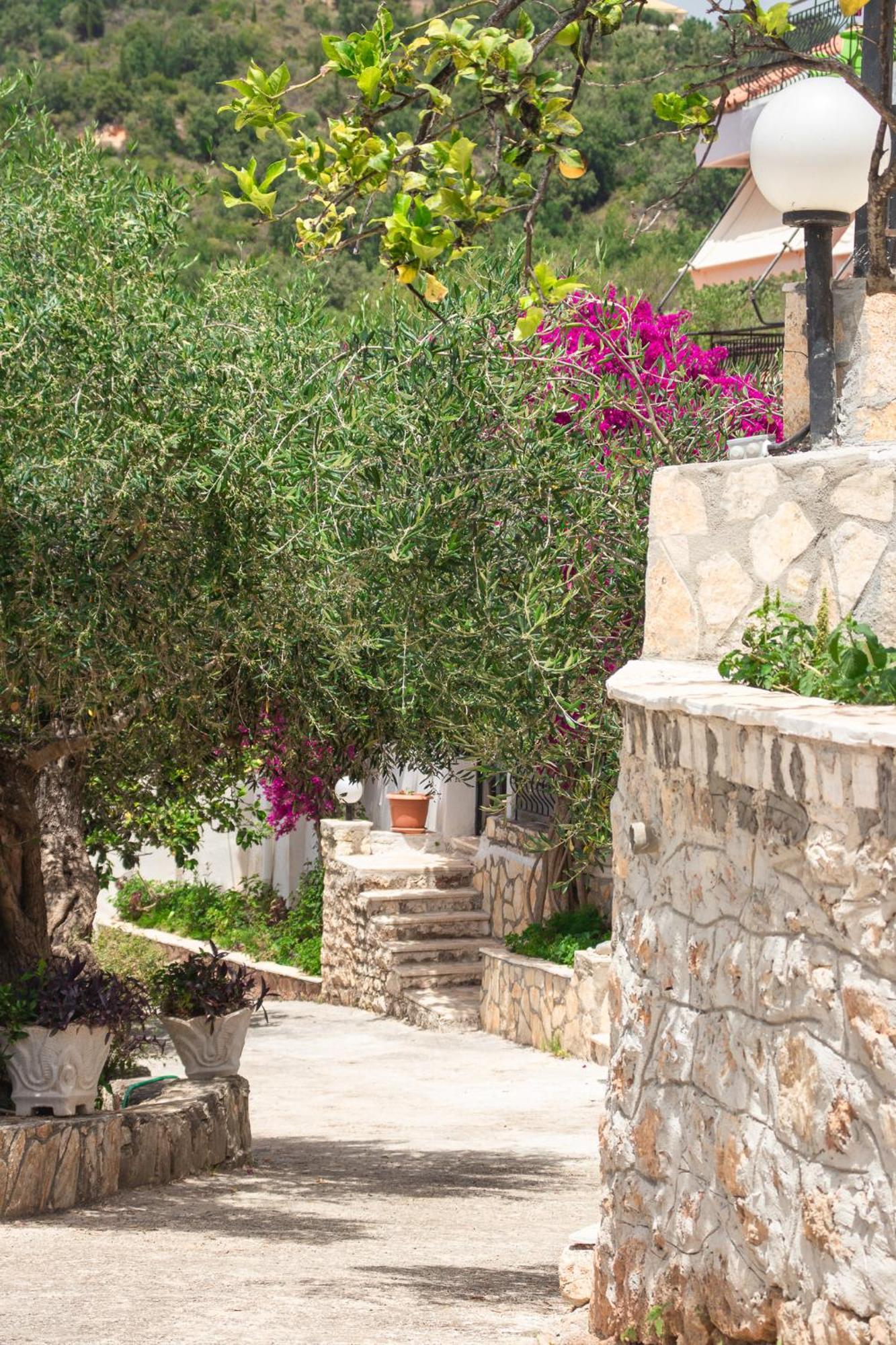 Villa Sissy Studios & Apartments Sívota 외부 사진